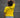 Ecuador Jersey