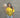 Colombia Jersey