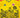 Colombia Jersey