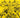 Brazil Jersey